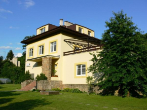 Гостиница Penzion Továrníkova vila  Скухров Nad Белоу